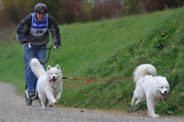 Rennen Weinfelden